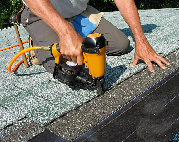 Best New Roof Installation  in Blennerhassett, WV