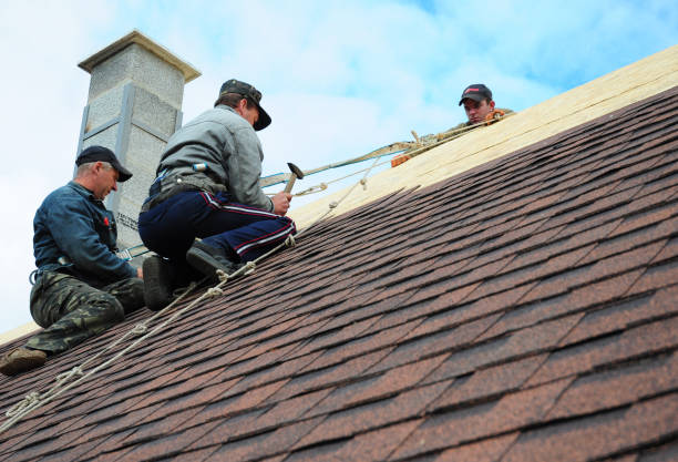 Best Flat Roof Repair Services  in Blennerhassett, WV